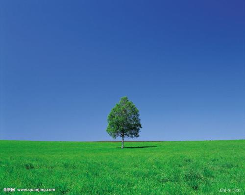 ͻƣйͱ׼ֱ7.7%11.3%