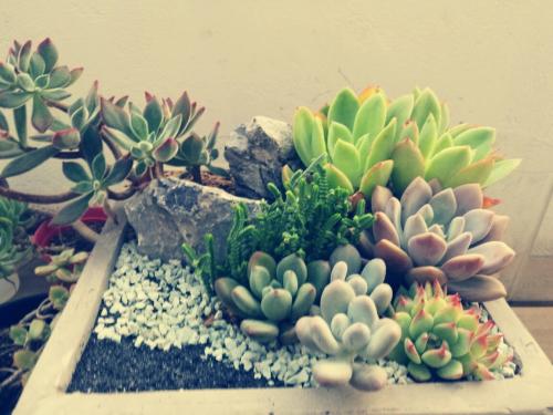 ձһ뾳߸ȾϷǳֵı¹ڲ